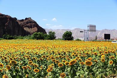 DLSS3加持下打开光追《微软飞行模拟》帧率翻倍